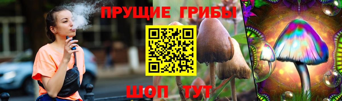 Галлюциногенные грибы Psilocybine cubensis  Вход с VPN  купить наркоту  Коркино 